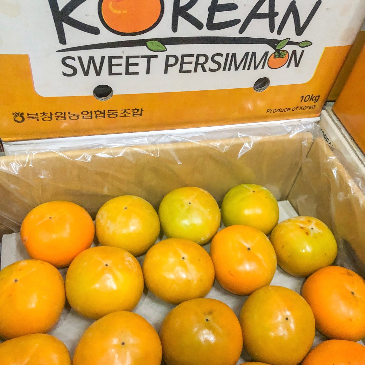 Korean Sweet Persimmon