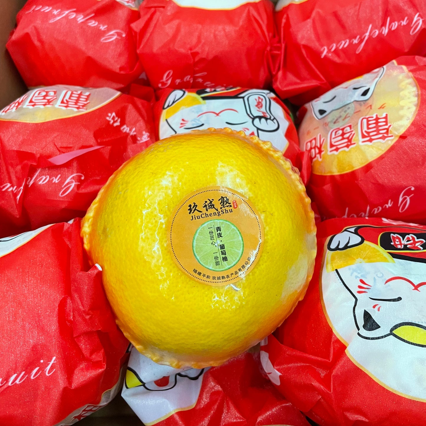 Grapefruit Pomelo
