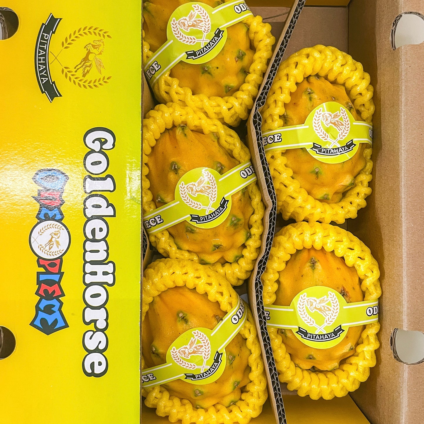 Ecuador Yellow Dragon Fruit
