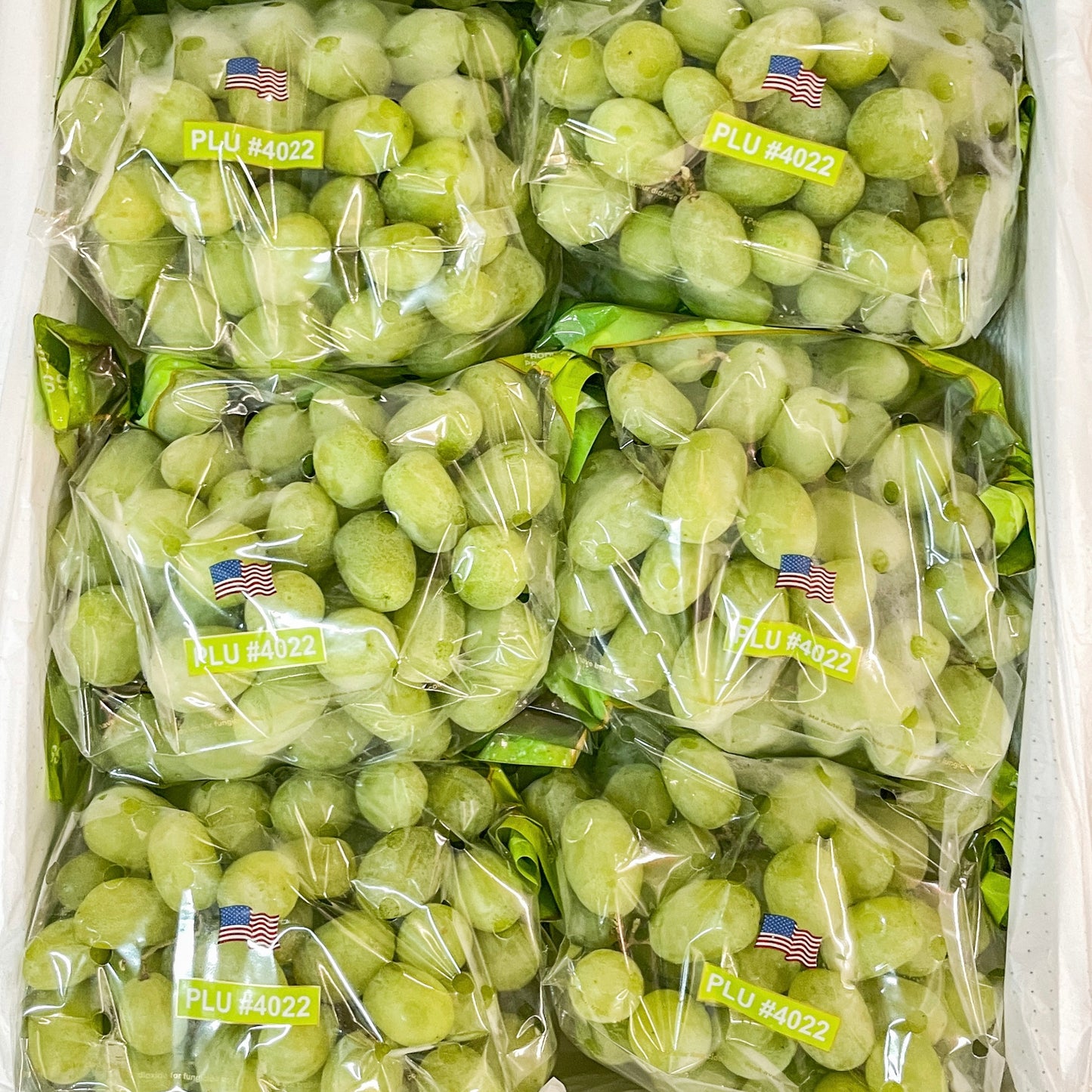 US Autumn King Green Grapes