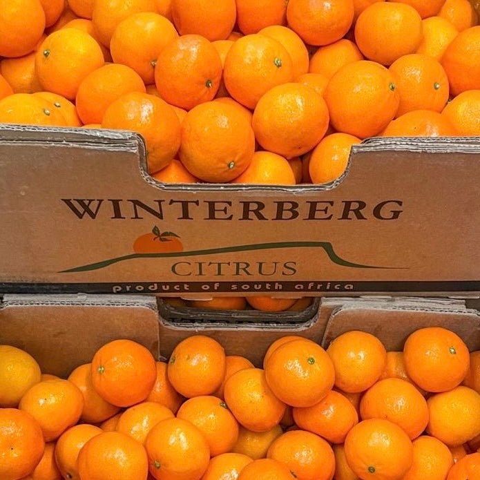 South African Seedless Kiat