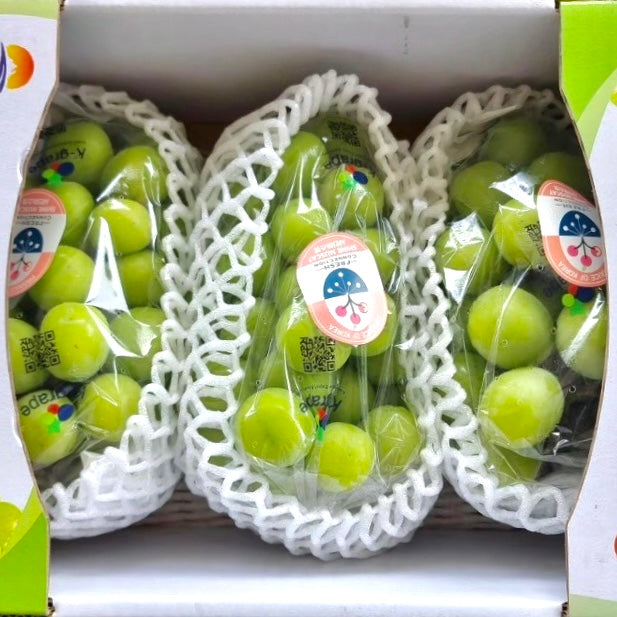 Premium Korean Muscat Grapes