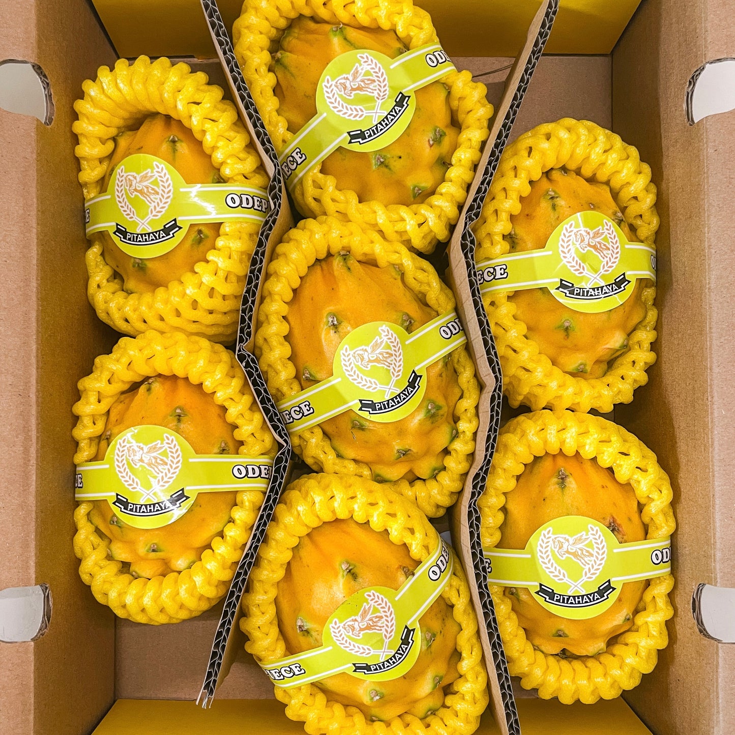 Ecuador Yellow Dragon Fruit