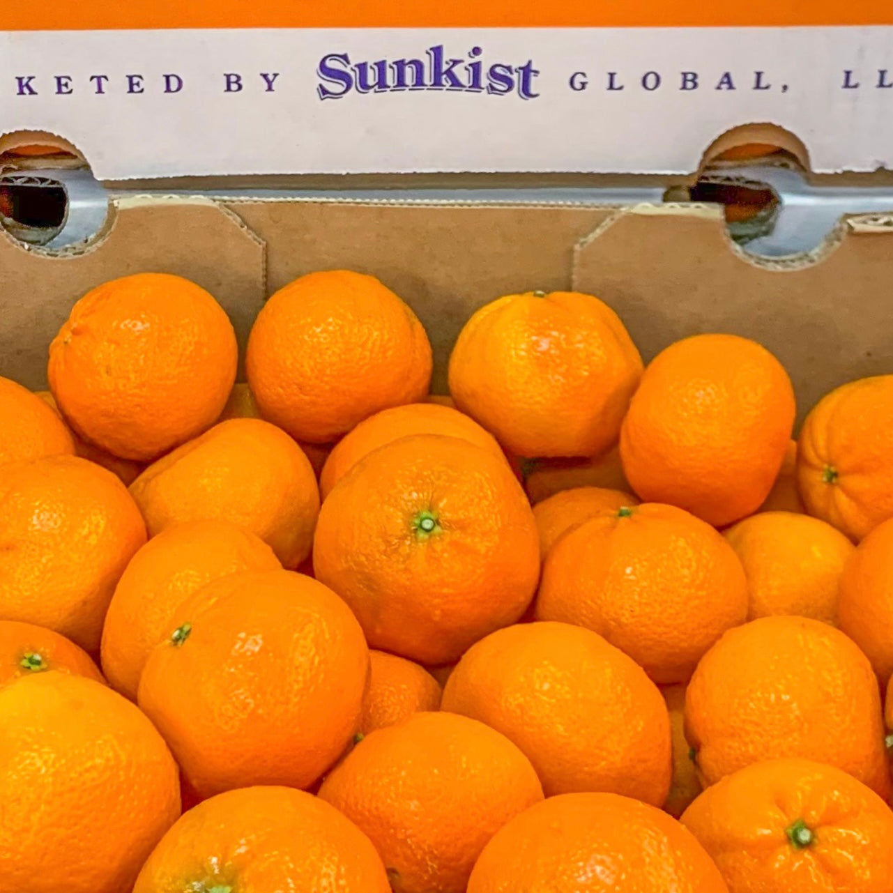 Sunkist Mandarins (ponkan)