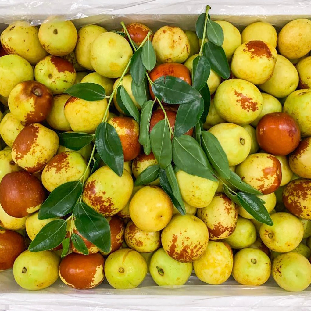Winter Dates (Jujube)