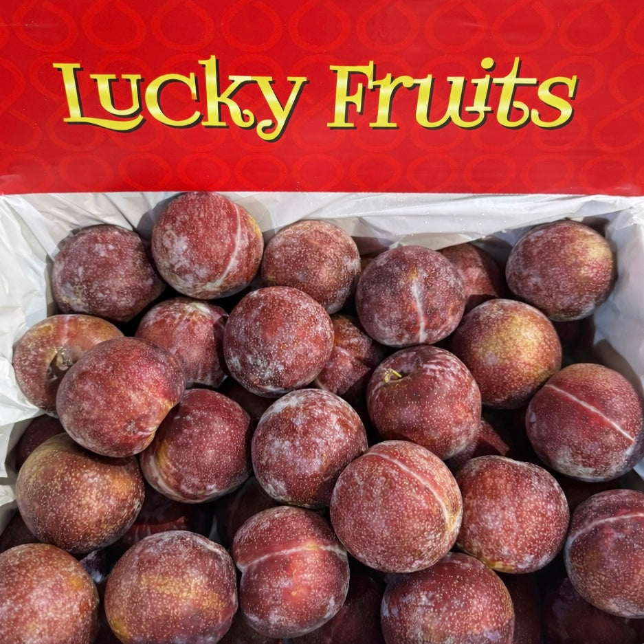 Australian Blood Plum