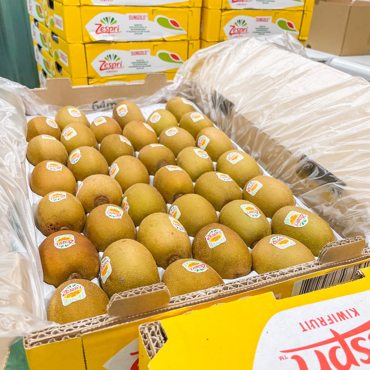 New Zealand Gold Kiwi