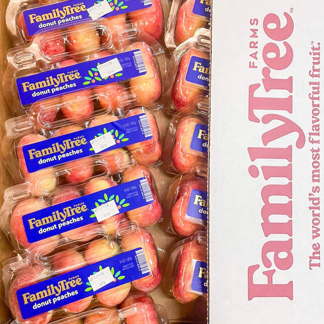 US White Donut Peach
