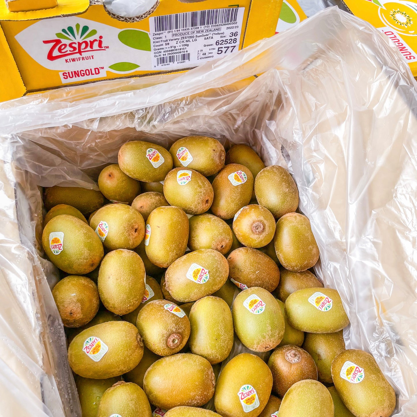 New Zealand Gold Kiwi