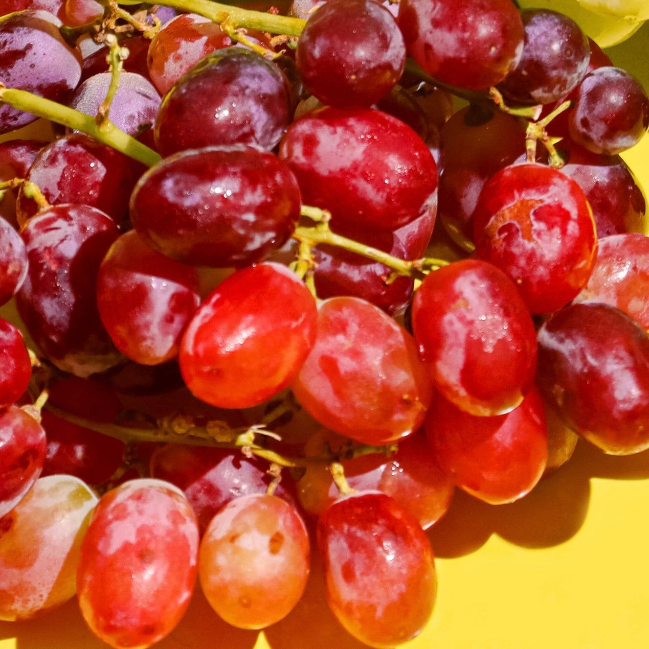 Australian Red Grapes