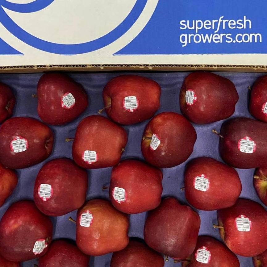 US Red Deicious Apple