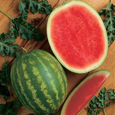 Red Seedless Watermelon