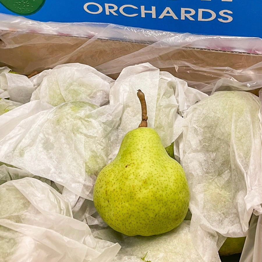 Australian Packham Pear
