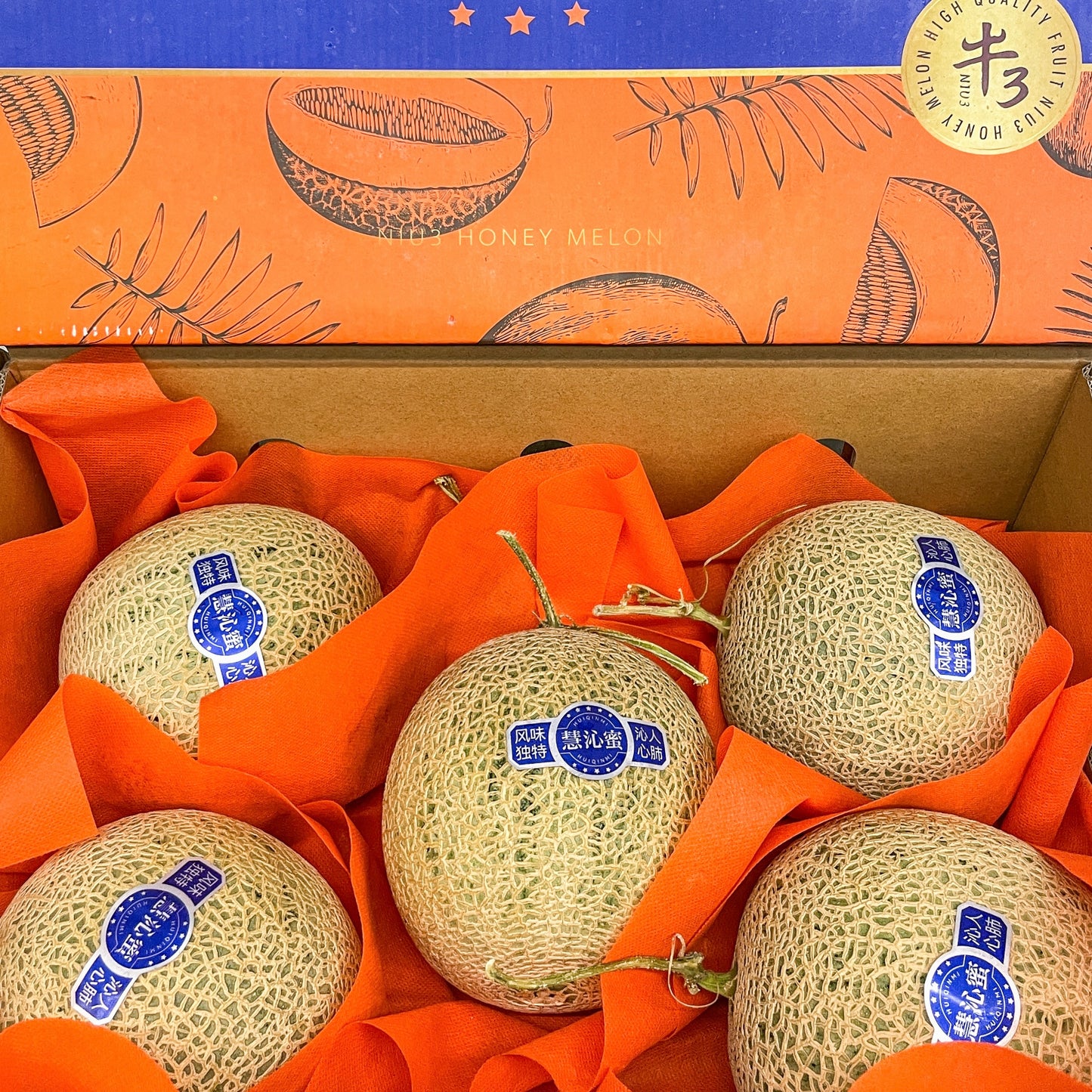Japan Variety Musk Melon