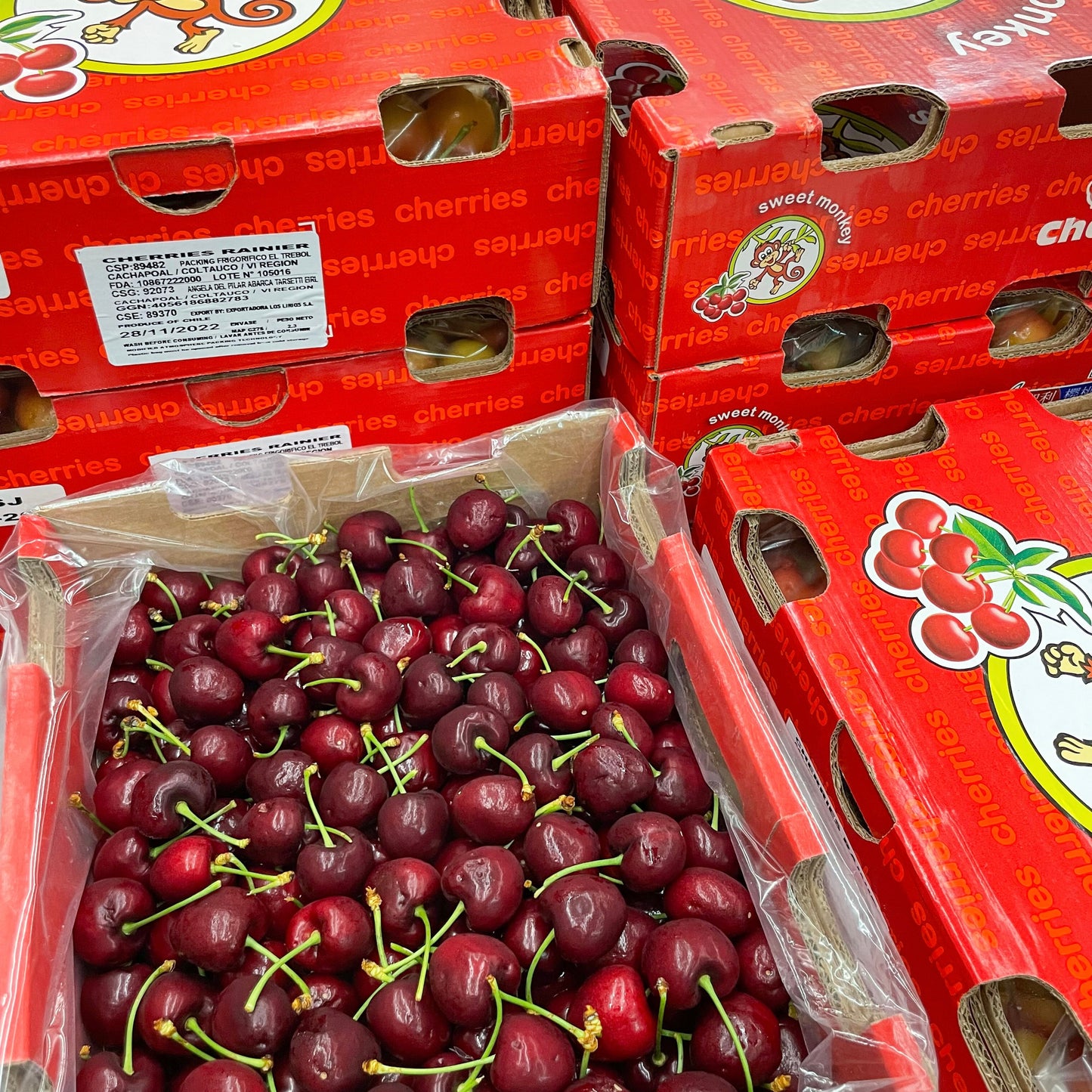 Chile Red Cherry (mini box)