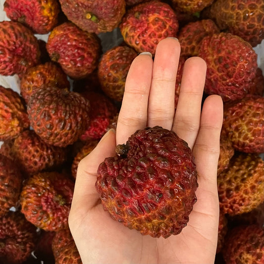 King Lychee (regular seed)
