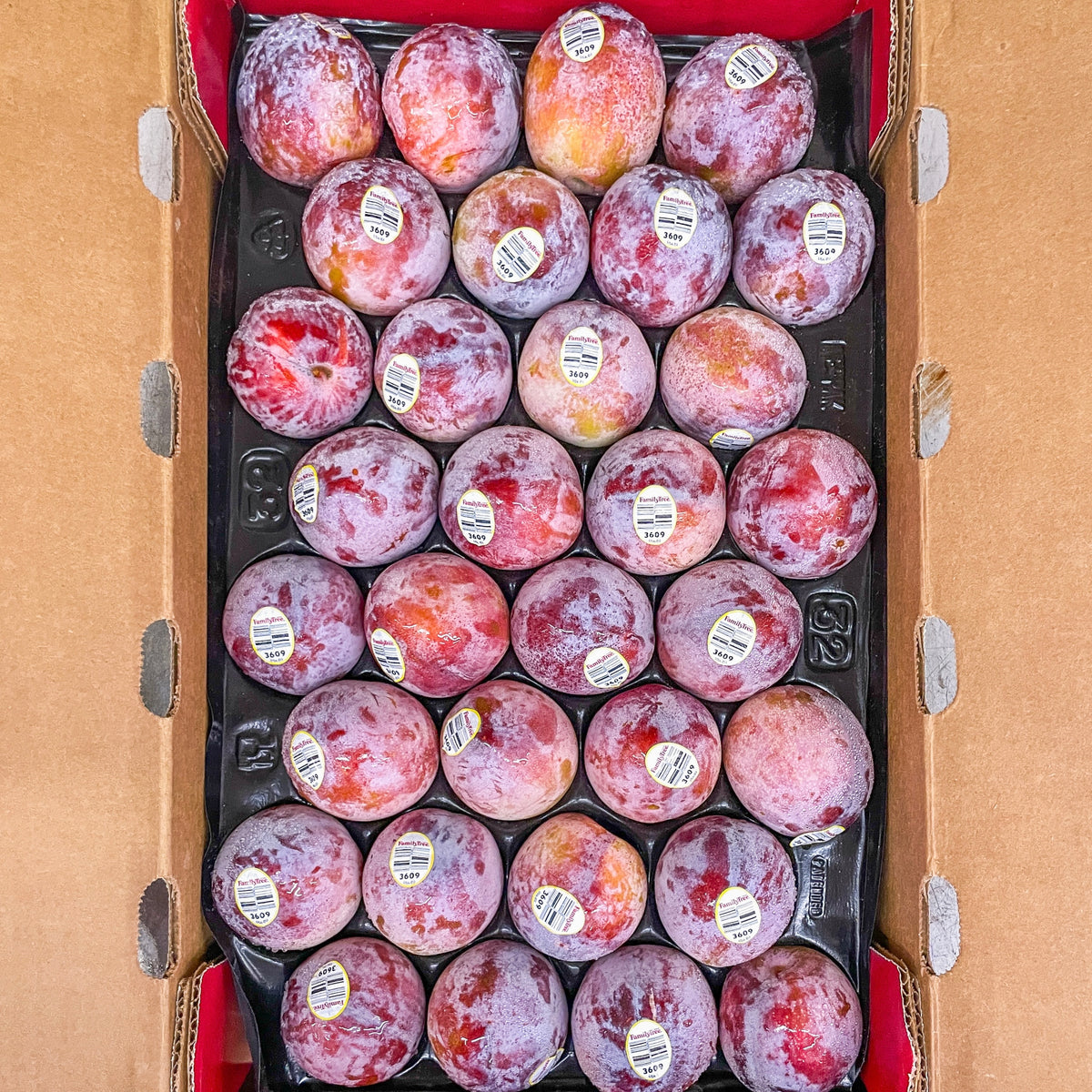 US Flavor Fall Plum