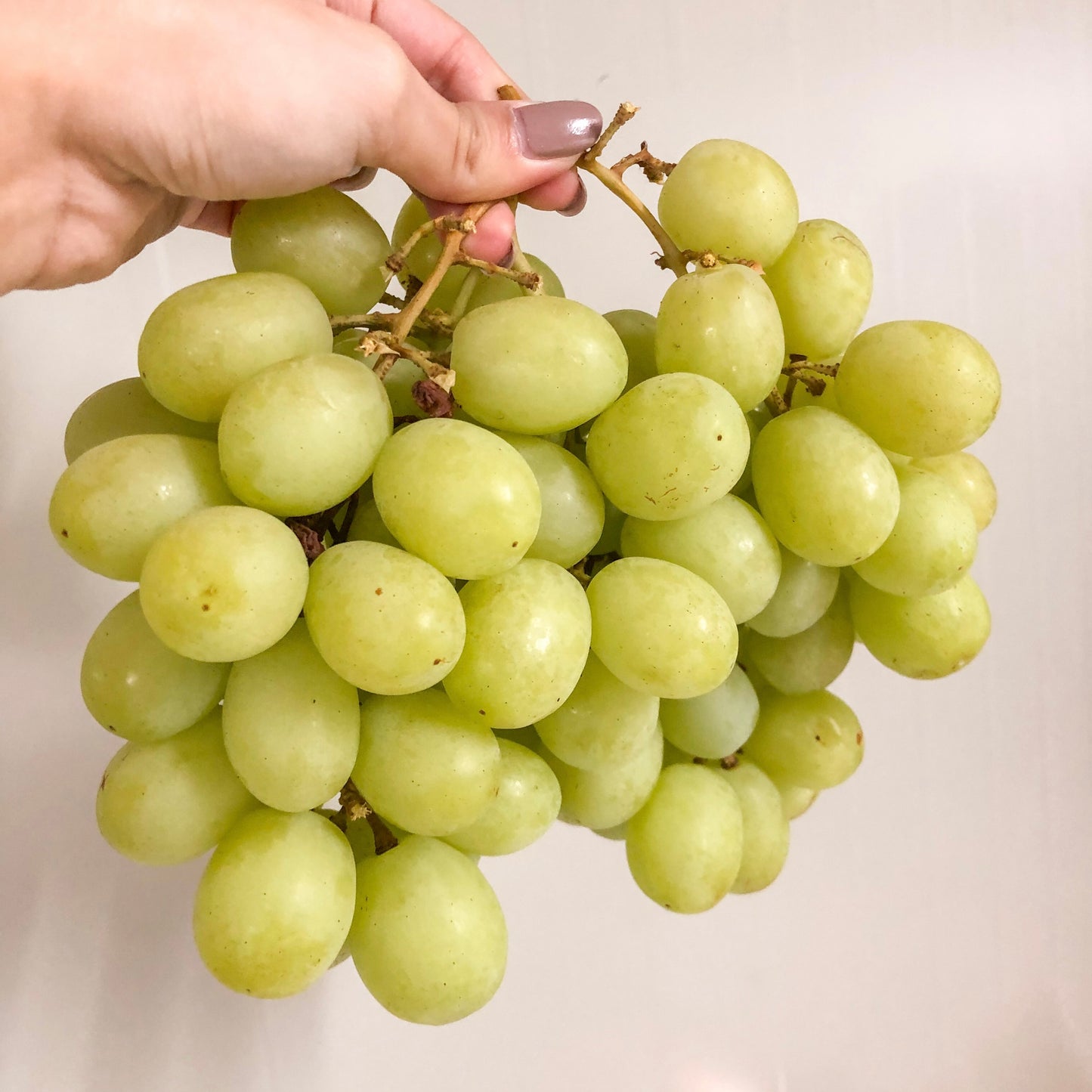 US Ivory Green Grapes
