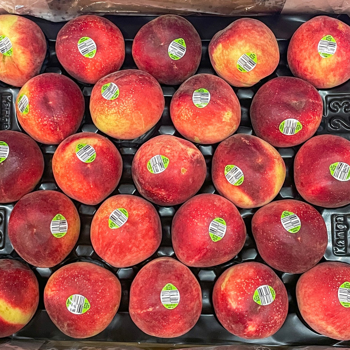 Australian White Peach