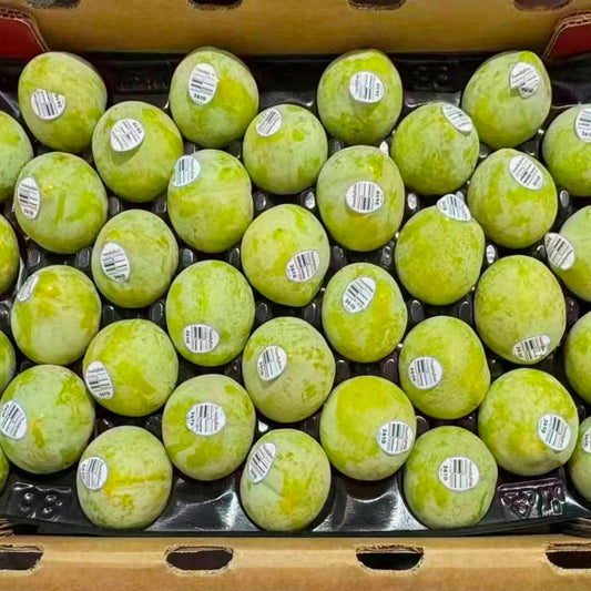 US Emerald Beaut Plum