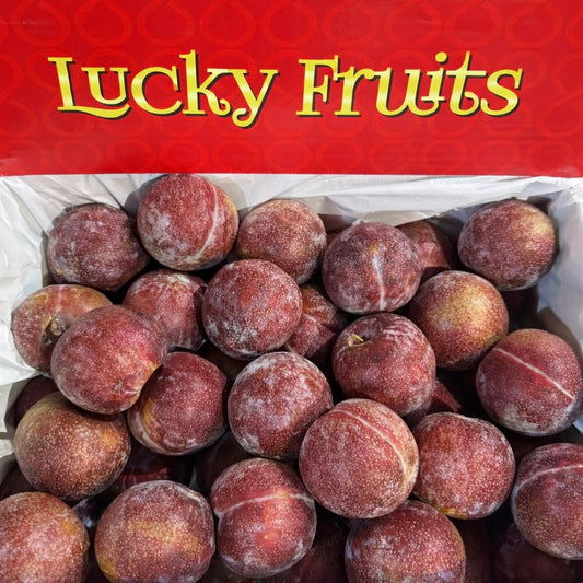 Australian Blood Plum