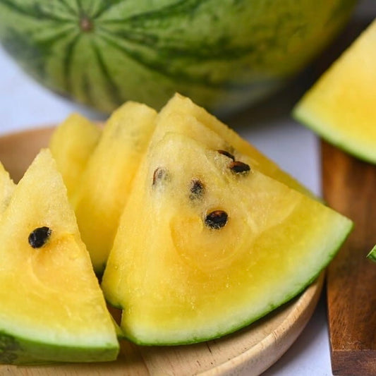 Yellow Watermelon