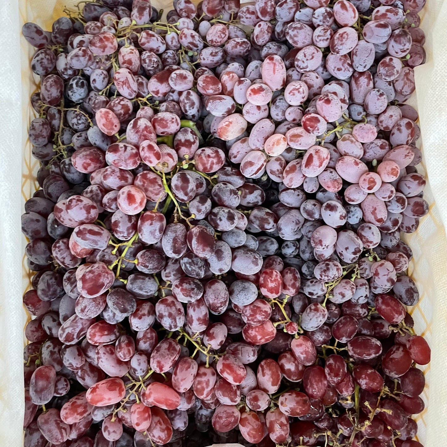 Red Seedless Crimson Grapes