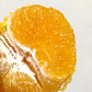Japan Jelly Orange (1-Layer)